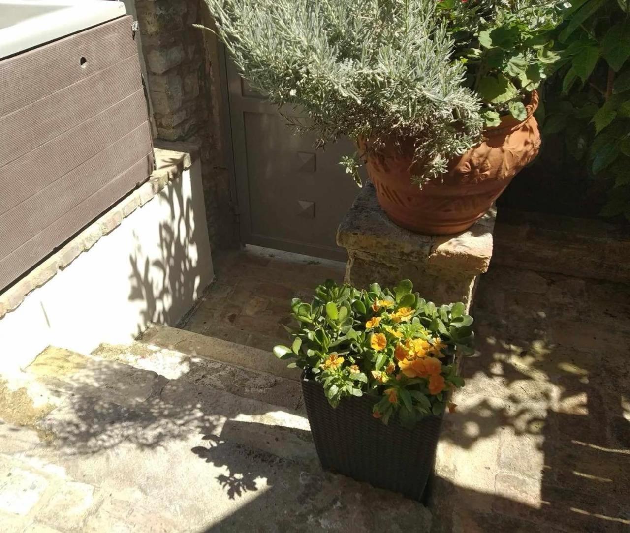 Anemomilos Jacuzzi Suite Corfu (city) Exterior foto