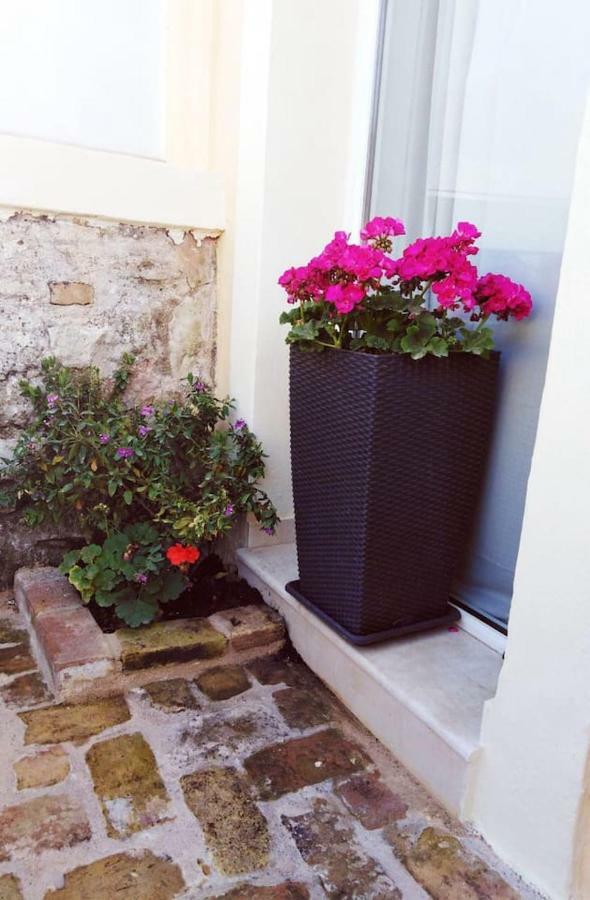 Anemomilos Jacuzzi Suite Corfu (city) Exterior foto